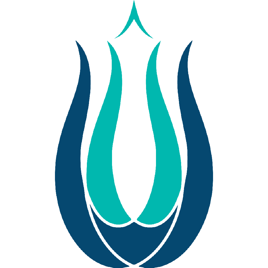 UID Dünyasi